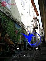 salsafestival zuerich2007 0063