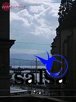 salsafestival zuerich2007 0066