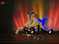 salsafestival zuerich2007 0148