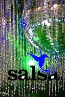 salsafestival2008fr-berlin210.jpg
